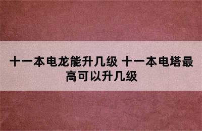 十一本电龙能升几级 十一本电塔最高可以升几级